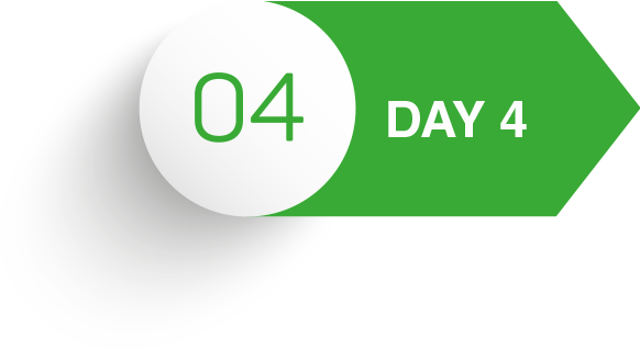 day four